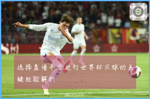 选择靠谱平台进行世界杯买球的关键经验解析