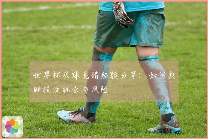 世界杯买球竞猜经验分享：如何判断投注机会与风险