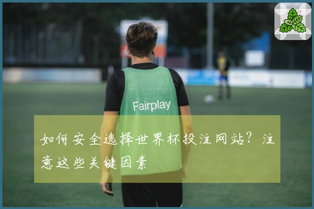 如何安全选择世界杯投注网站？注意这些关键因素