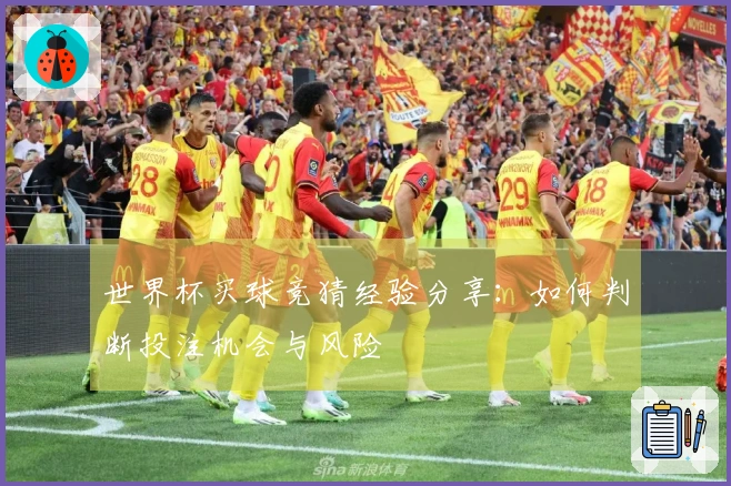 世界杯买球竞猜经验分享：如何判断投注机会与风险
