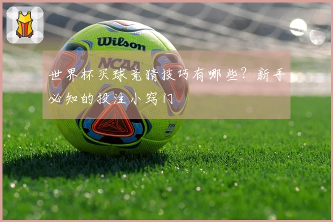 世界杯买球竞猜技巧有哪些？新手必知的投注小窍门