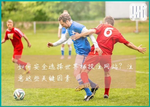 如何安全选择世界杯投注网站？注意这些关键因素