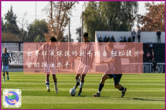 世界杯滚球技巧新手指南 轻松提升你的投注水平